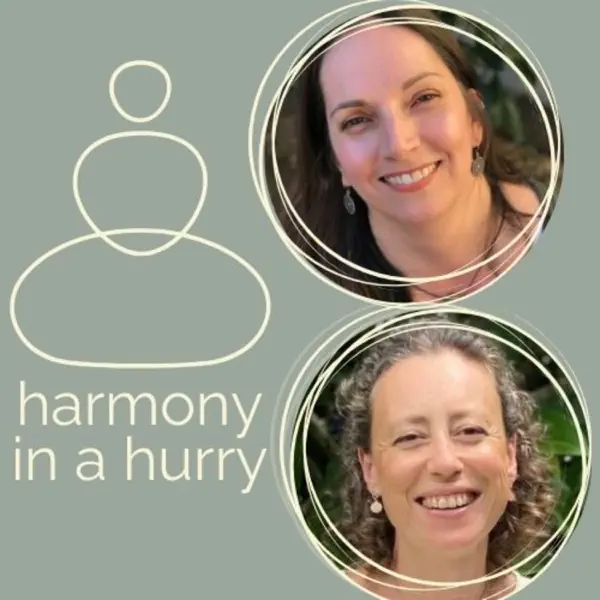 Harmony in a Hurry podcast with Steven Puri about mindful productivity